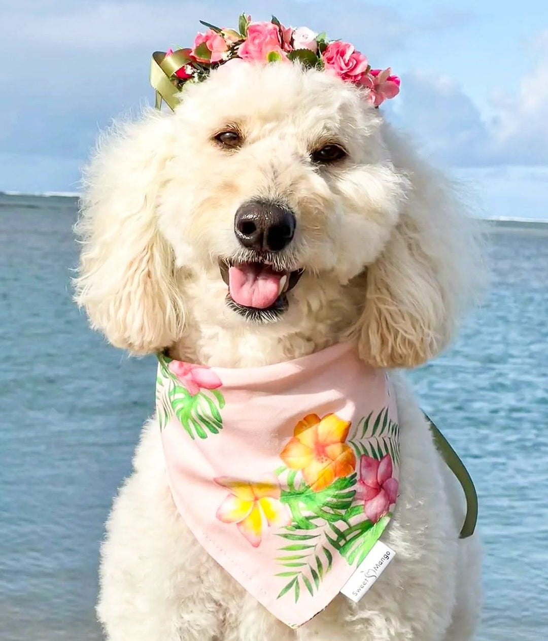 Plumeria "Maila" Bandana