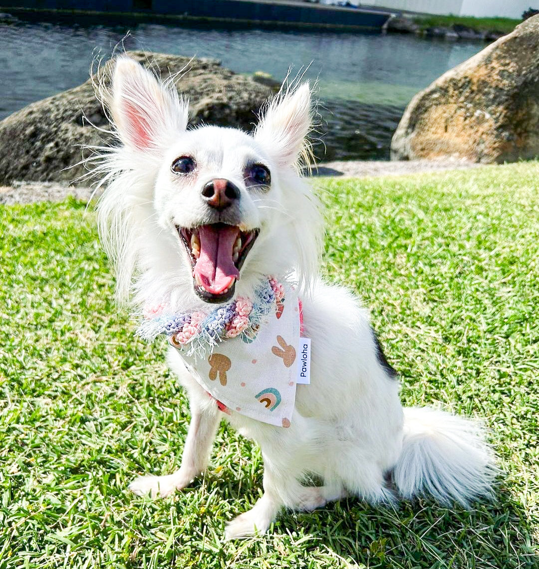 Hoppy Bunny Bandana