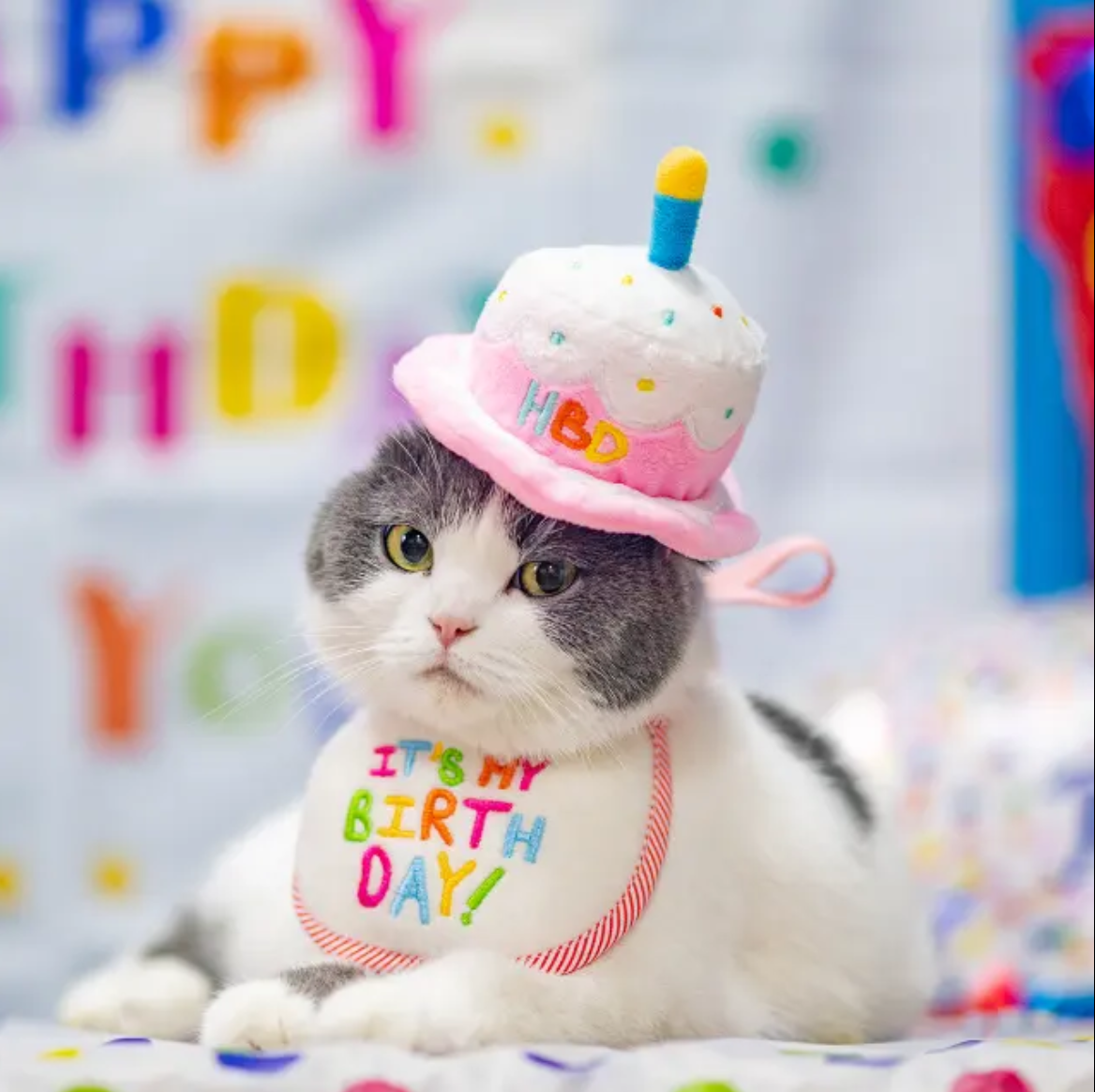 Happy Birthday Hat Toy
