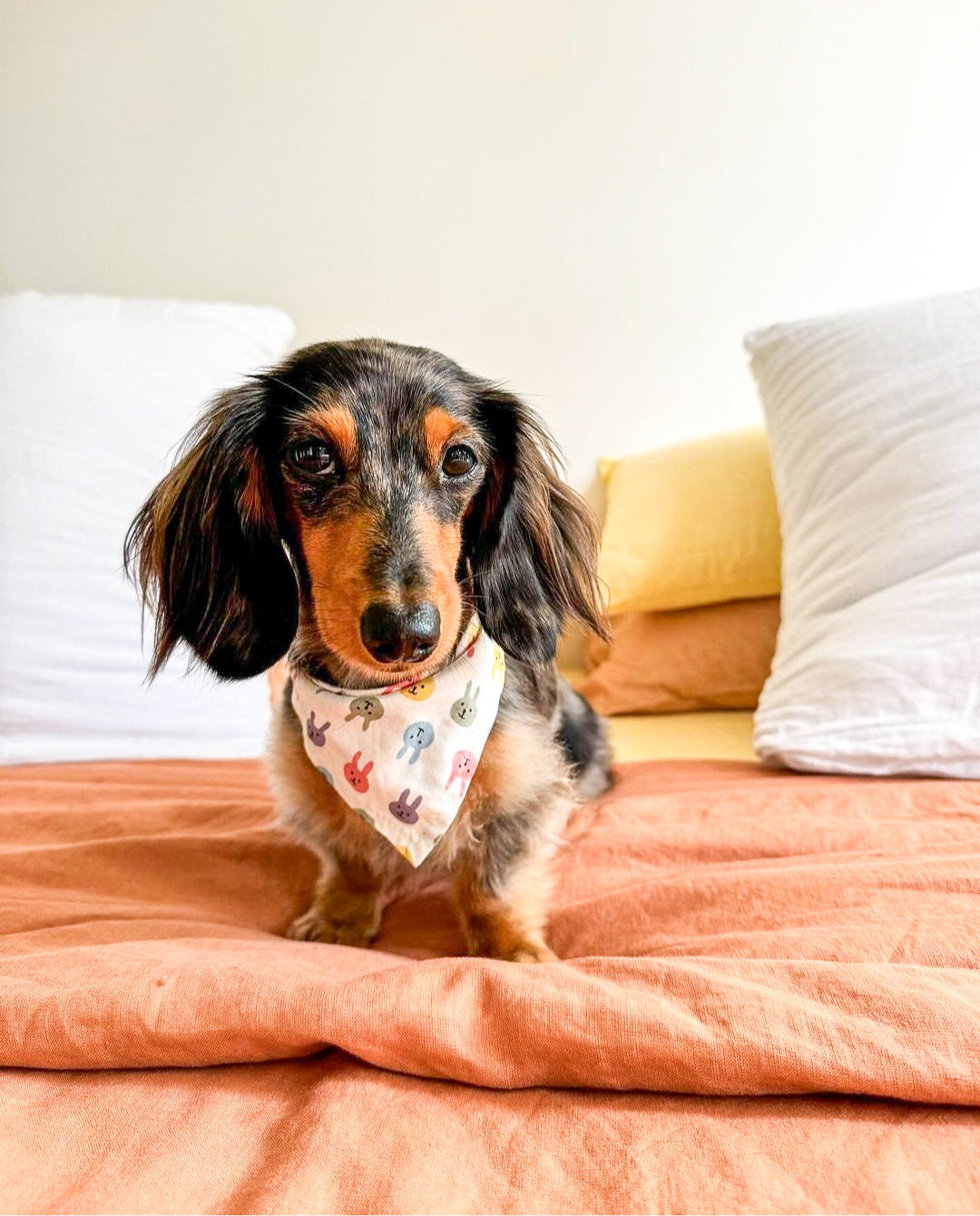 Colorful Bunny Bandana
