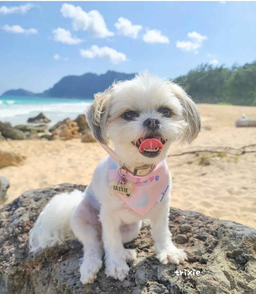 Cherish Bandana
