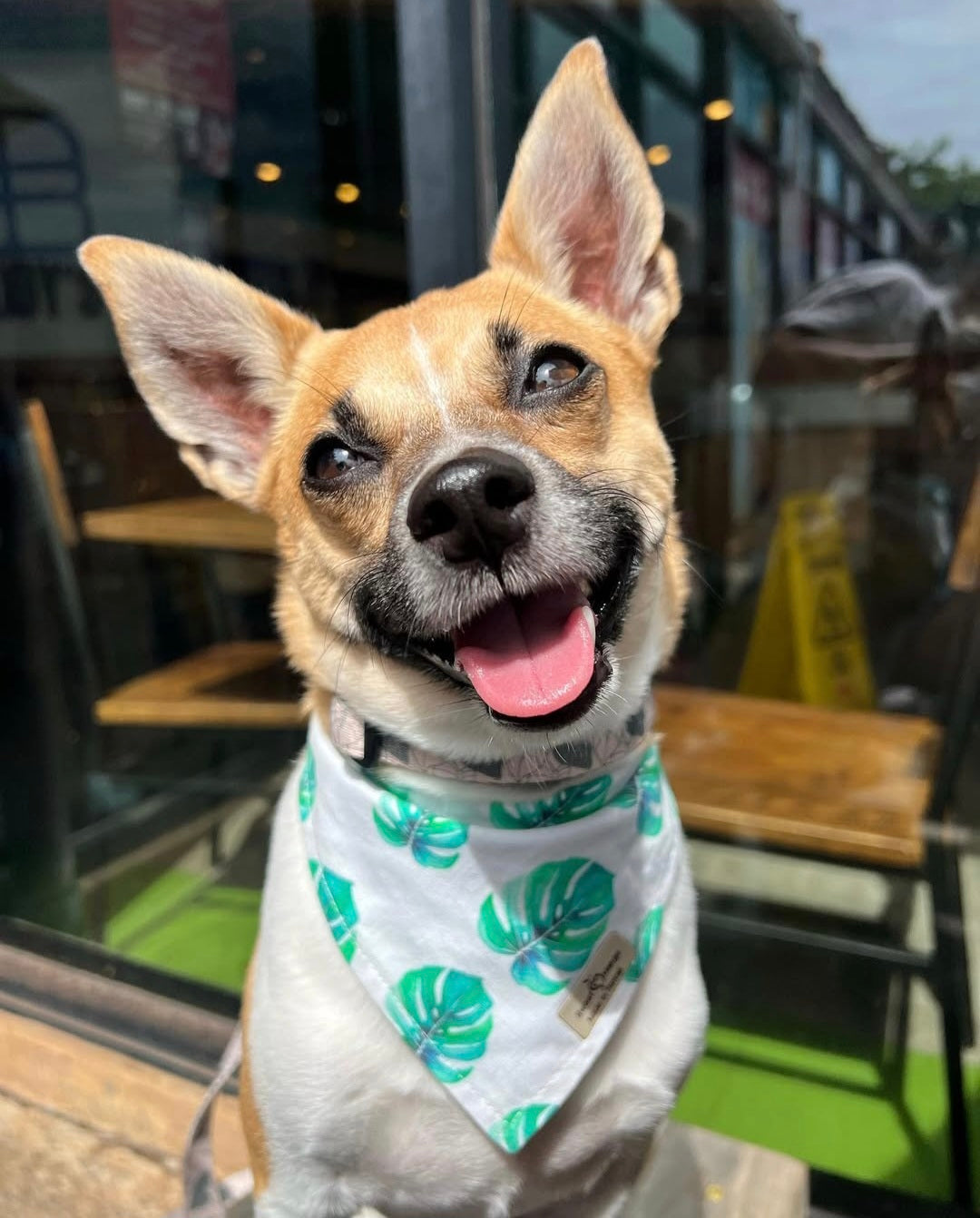 Green Monstera Bandana