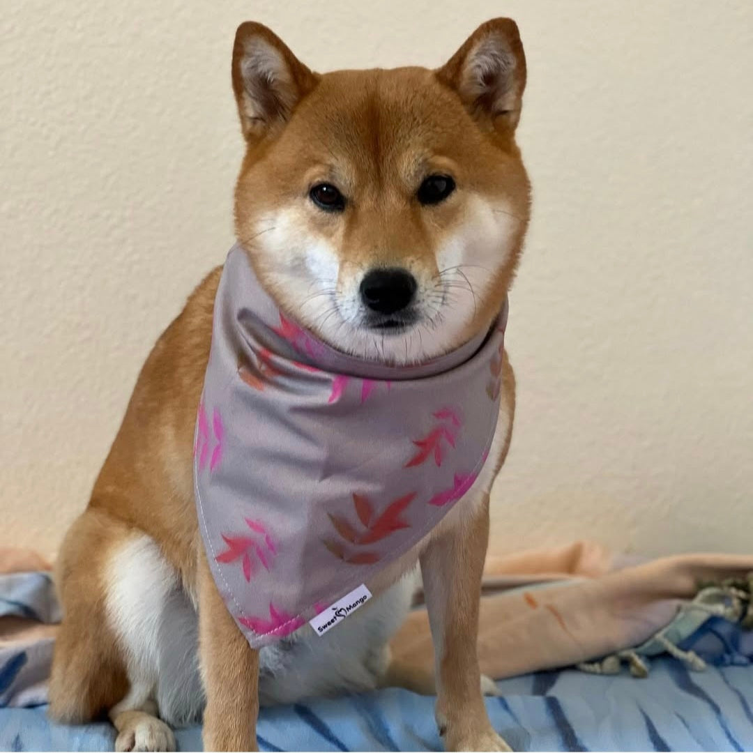 Furry Fall Bandana