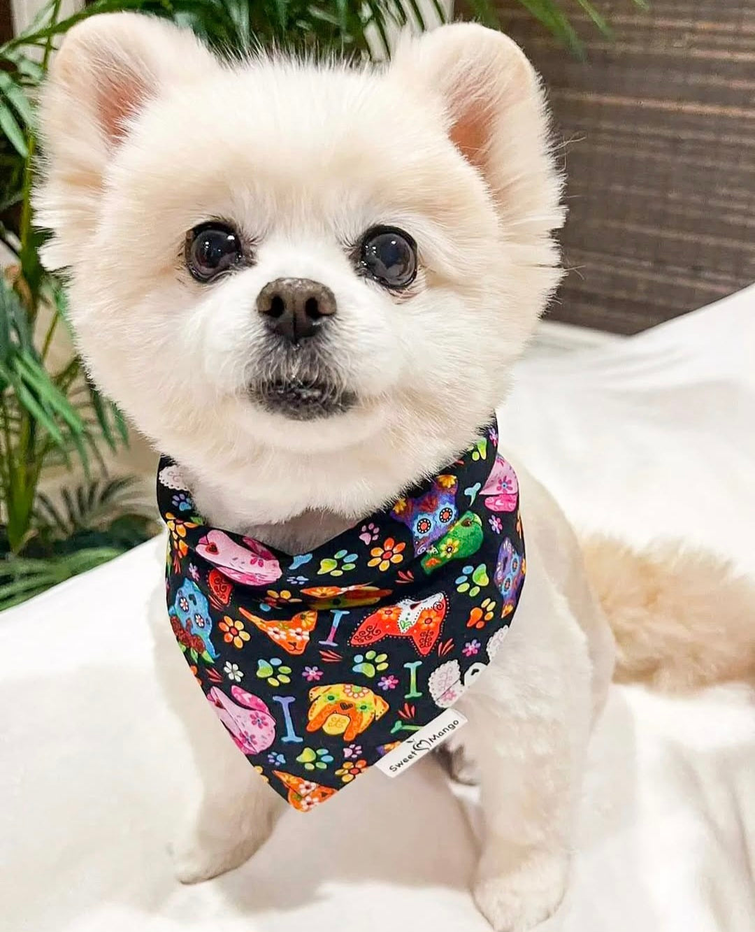 Día de Muertos (Dead of Day) Bandana