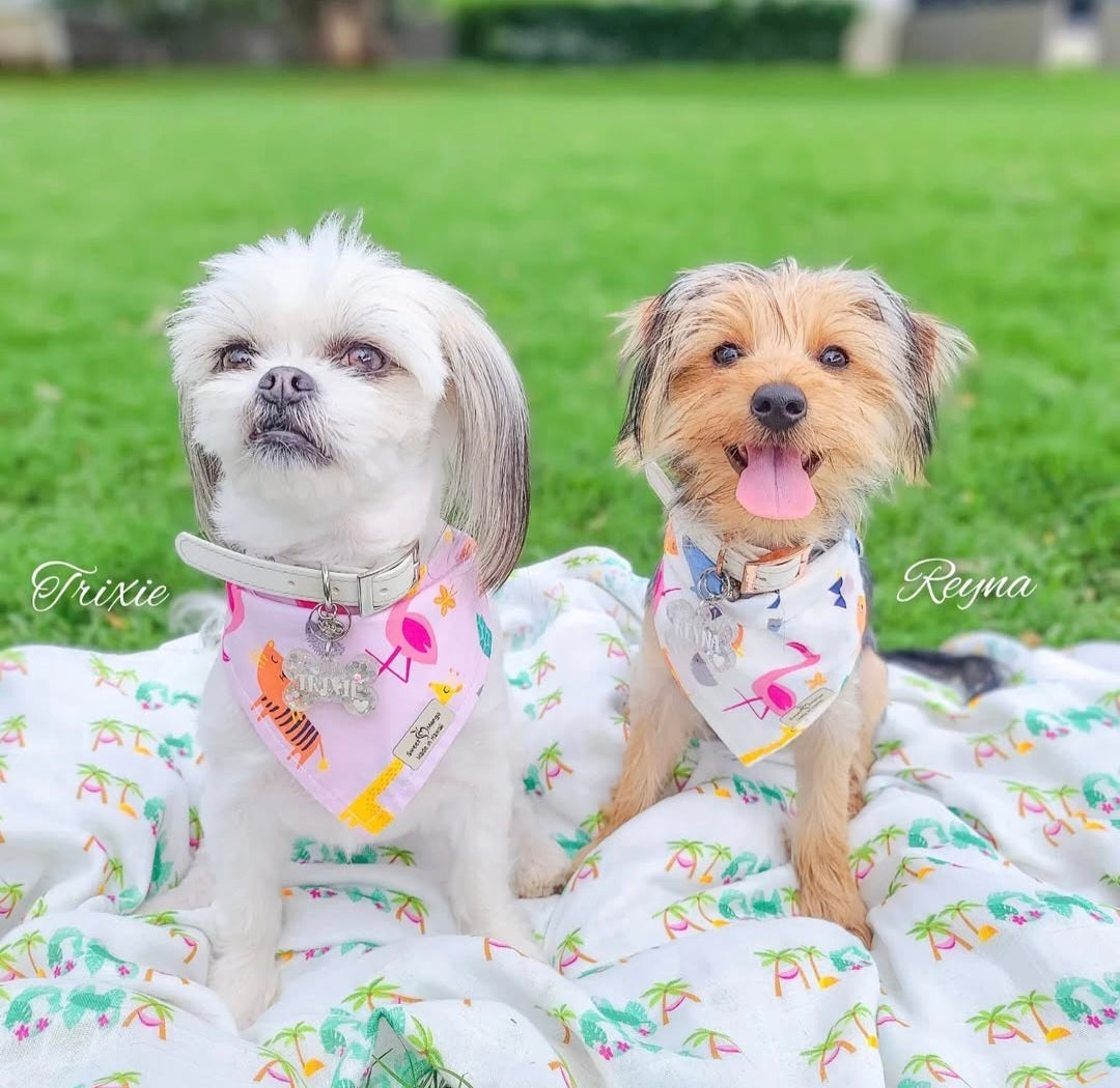 Animal (Pink) Bandana