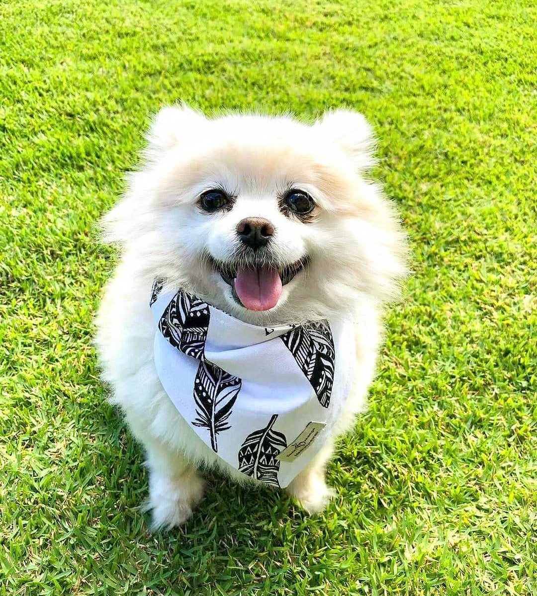 Tsubasa Bandana