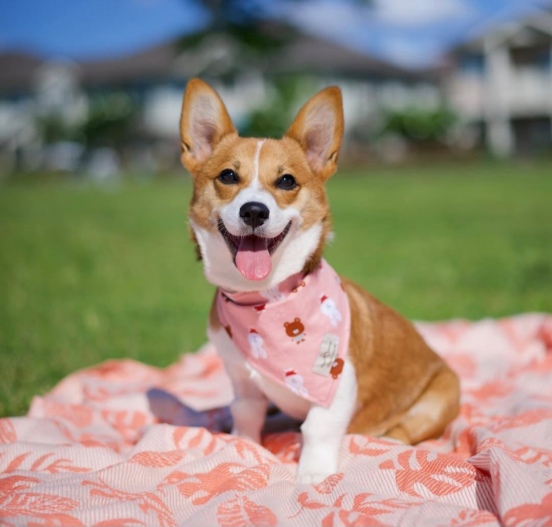 Bears + Bunnies (Pink) Bandana