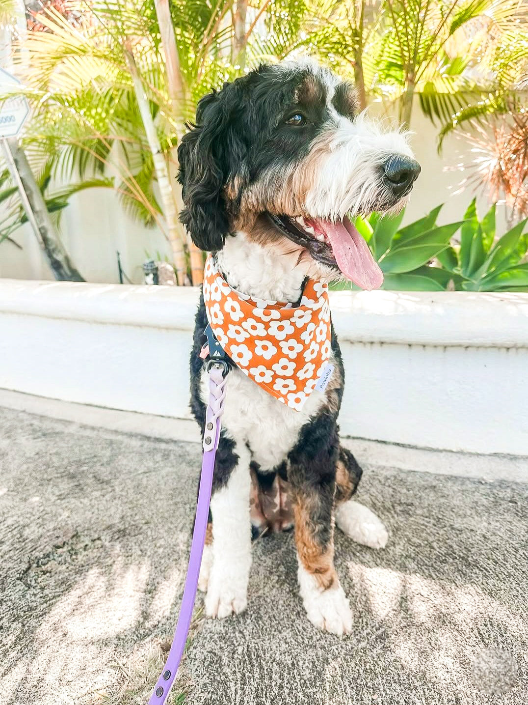 Fall Collection "Olive & Daisy" Bandanas
