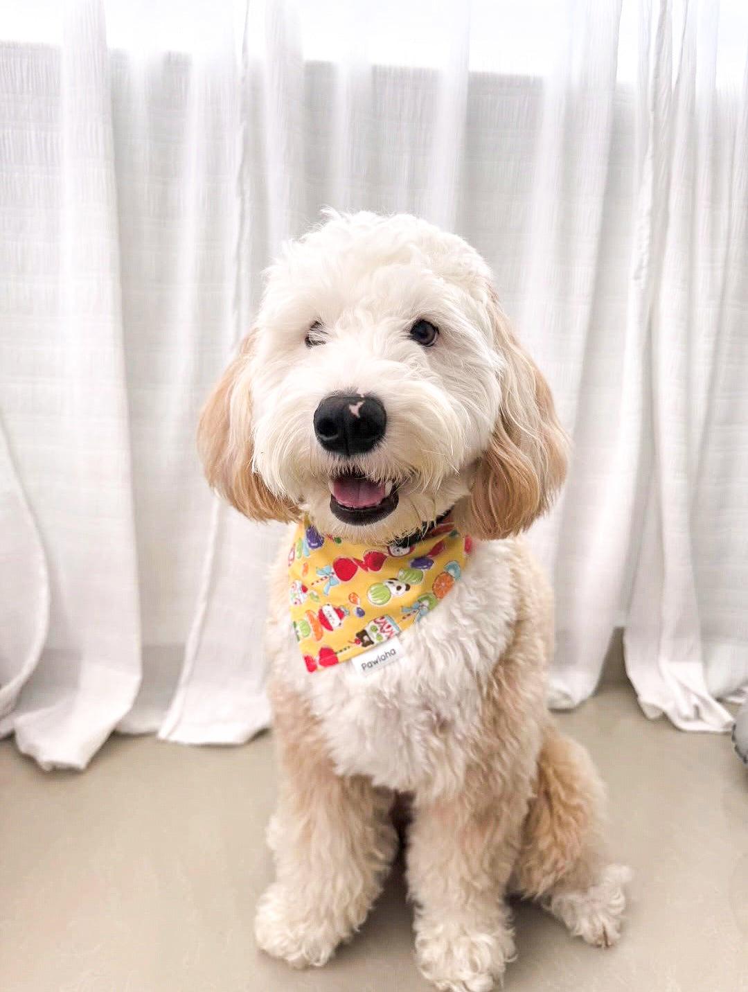 Tanghulu Treat Bandana