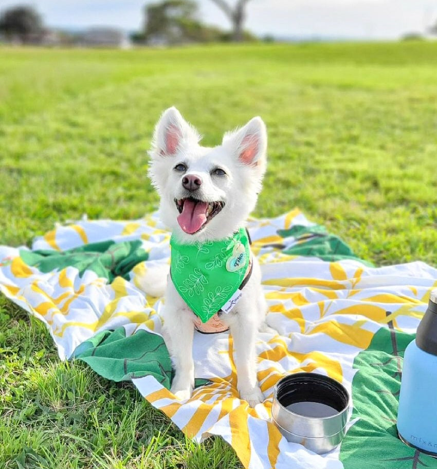 Bandanas