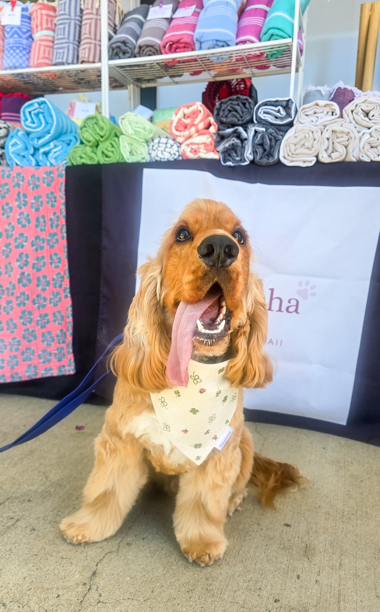 Lucky Ladybug Bandana
