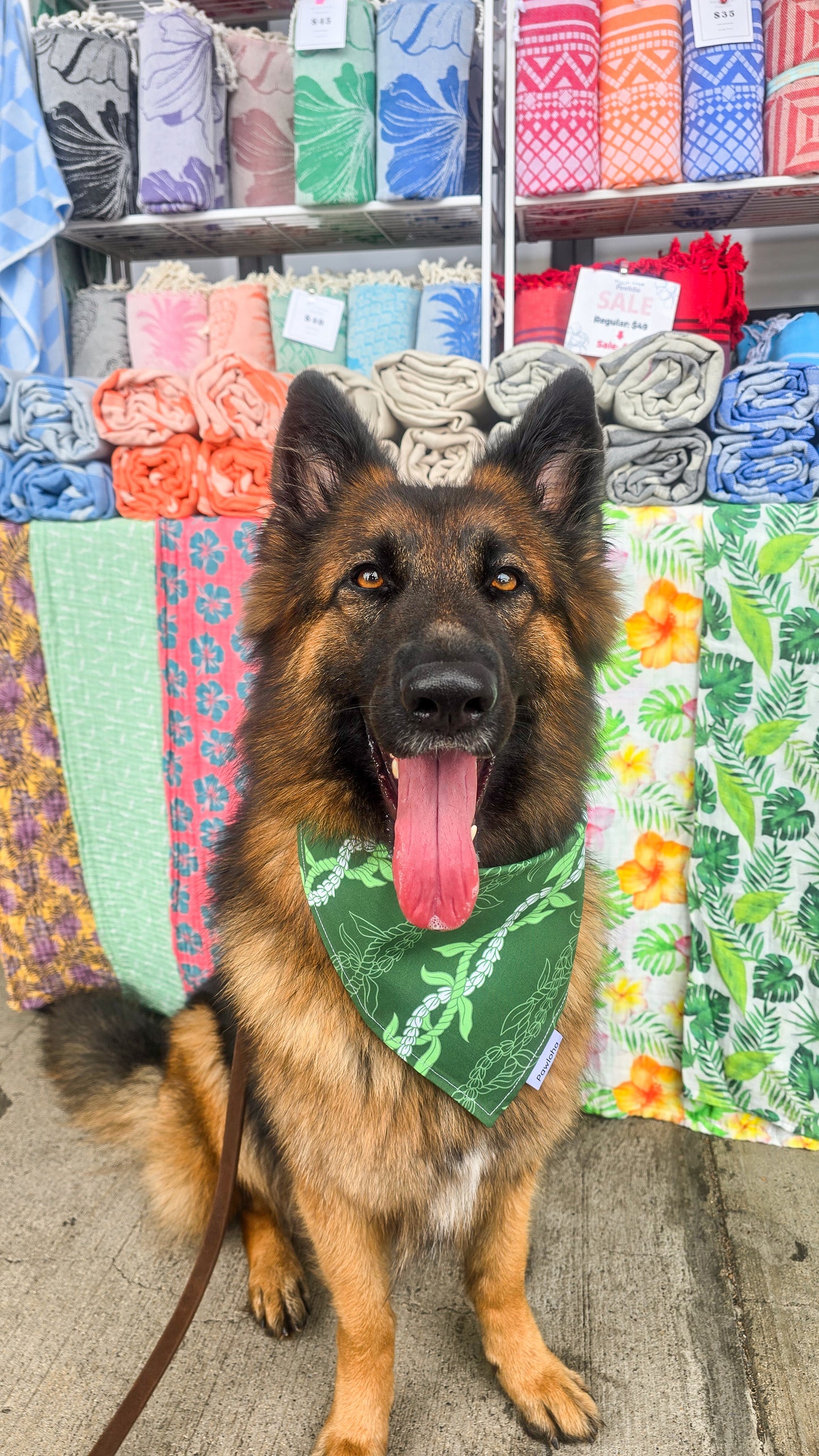 May Day is Lei Day Collection (Pīkake Lāʻī)