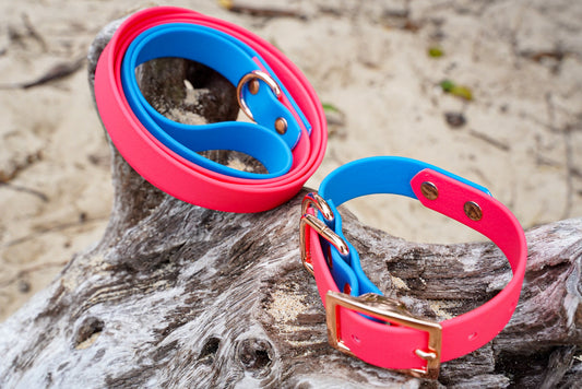 Pink + Blue Collar/Leash