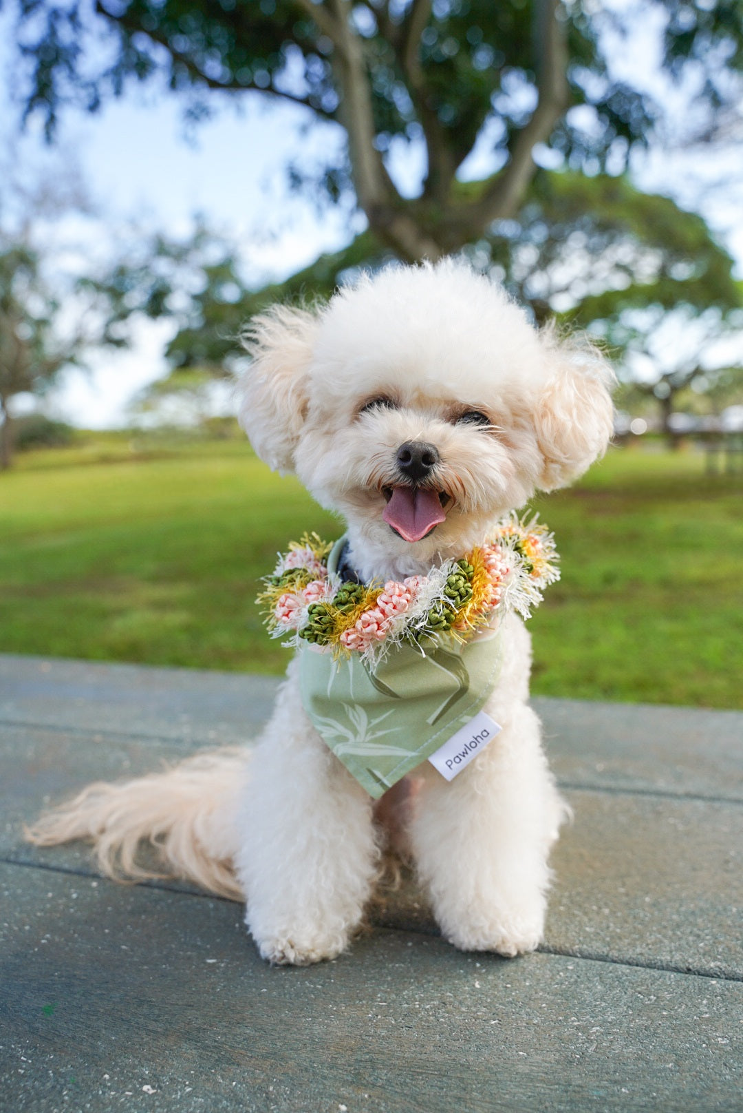 May Day is Lei Day Collection (Pua Manu)
