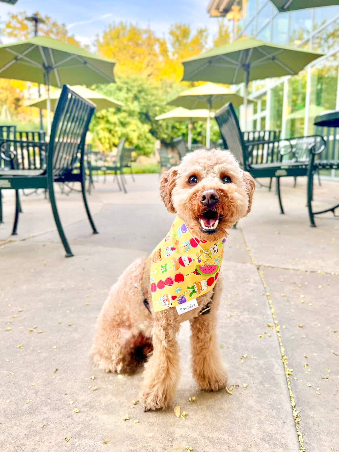 Tanghulu Treat Bandana