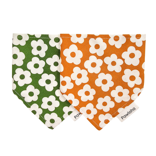 Fall Collection "Olive & Daisy" Bandanas