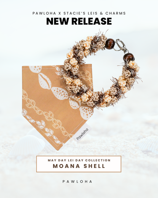 May Day is Lei Day Collection (Moana Shell)