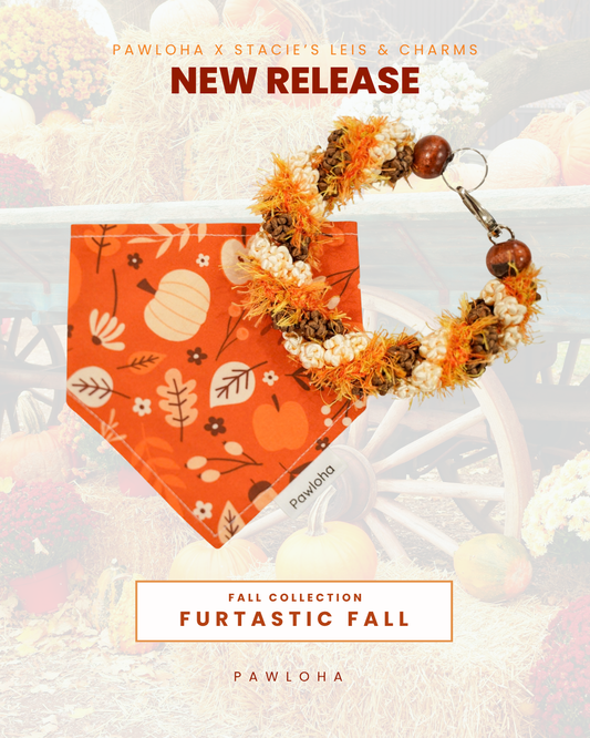 Fall Collection (Furtastic Fall)