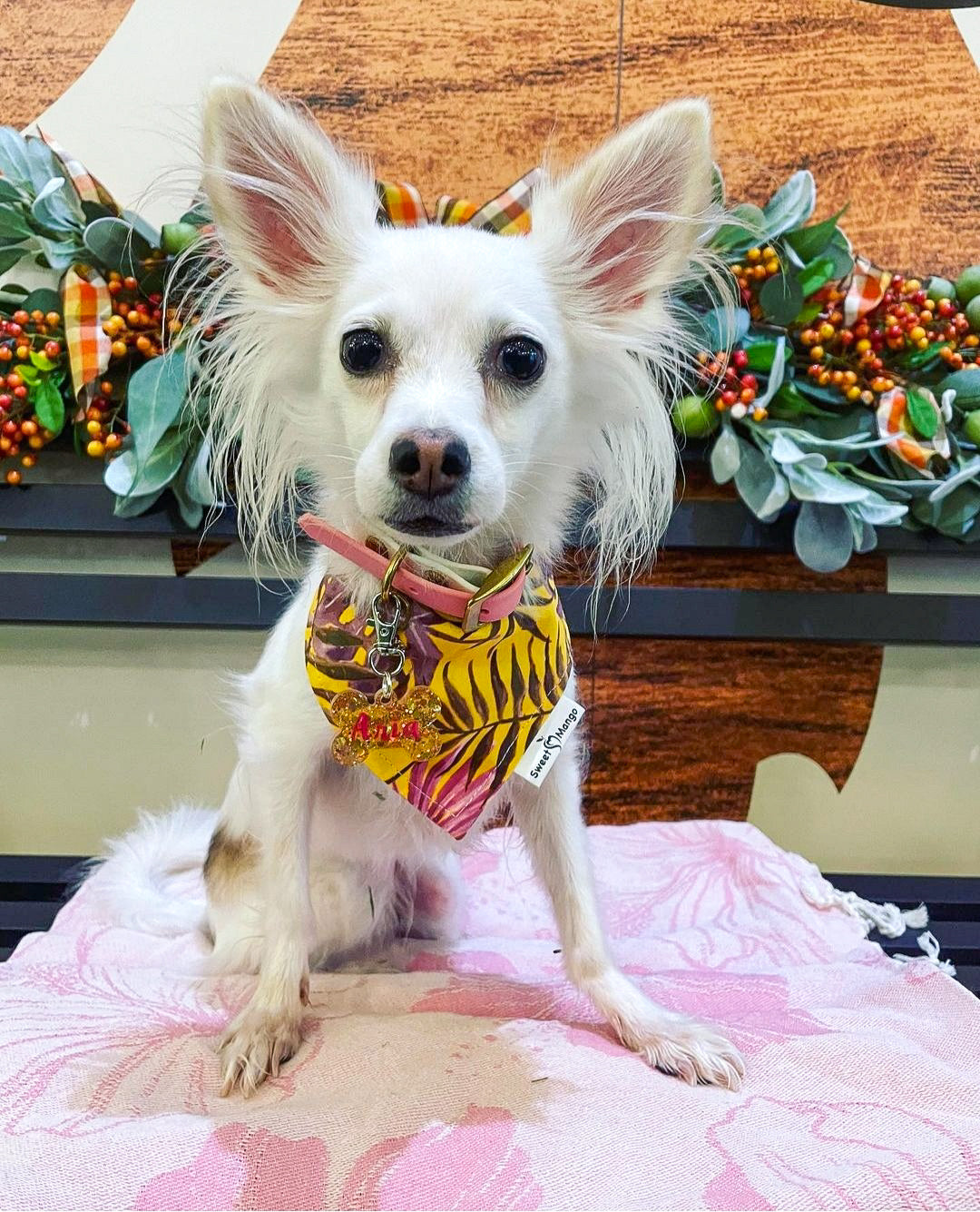 Maya (Pink) Bandana