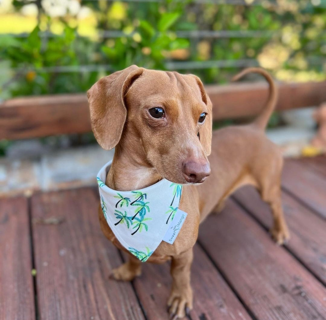 Palm Tree Bandana