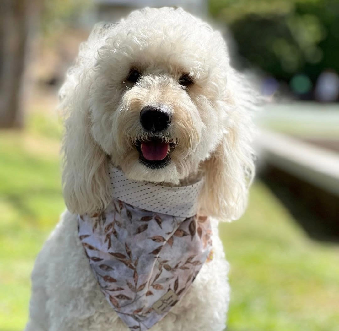 Leafy Grove (Brown) Bandana