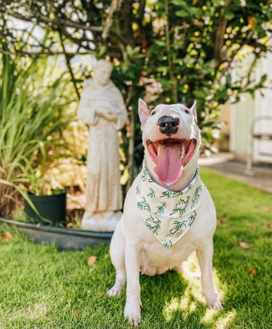 Palm Tree Bandana