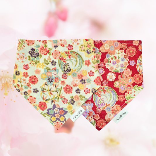 Haru Sakura Bandanas