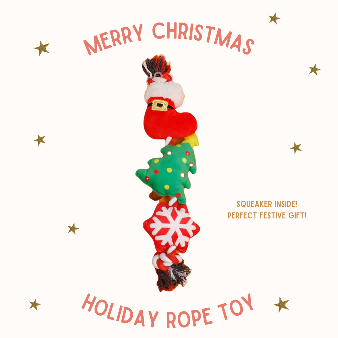 Holiday Rope Toy